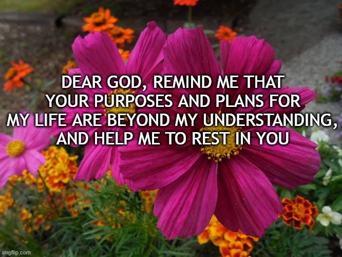 DEAR GOD, REMIND ME THAT YOUR PURPOSES AND PLANS FOR MY LIFE ARE BEYOND MY UNDERSTANDING, AND HELP ME TO REST IN YOU | image tagged in dear god,purpose | made w/ Imgflip meme maker