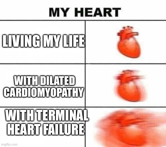 My heart blank | LIVING MY LIFE; WITH DILATED
CARDIOMYOPATHY; WITH TERMINAL
HEART FAILURE | image tagged in my heart blank,heart,failure,terminal | made w/ Imgflip meme maker