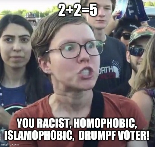 Triggered feminist | 2+2=5; YOU RACIST, HOMOPHOBIC,  ISLAMOPHOBIC,  DRUMPF VOTER! | image tagged in triggered feminist | made w/ Imgflip meme maker