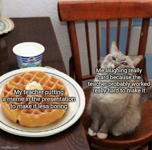 Teachers try their best |  Me laughing really hard because the teacher probably worked really hard to make it; My teacher putting a meme in the presentation to make it less boring | image tagged in cat likes their waffle | made w/ Imgflip meme maker