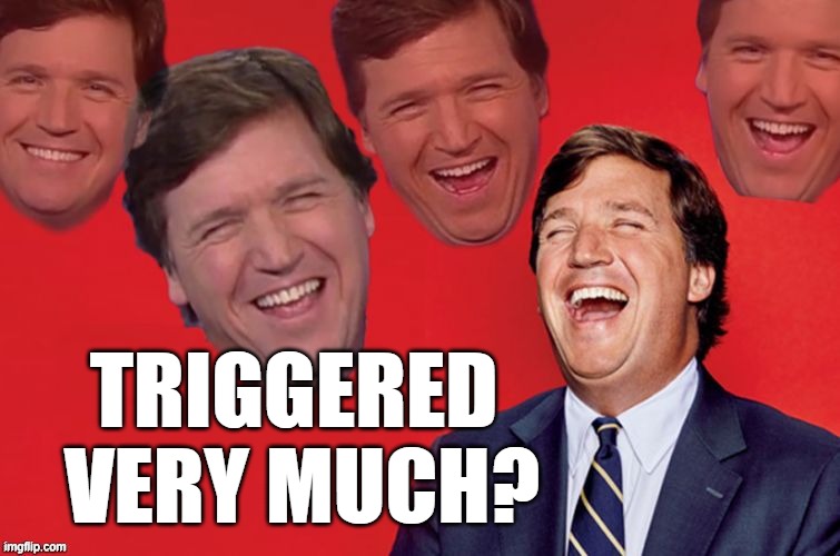 Tucker laughs at libs | TRIGGERED 
VERY MUCH? | image tagged in tucker laughs at libs | made w/ Imgflip meme maker