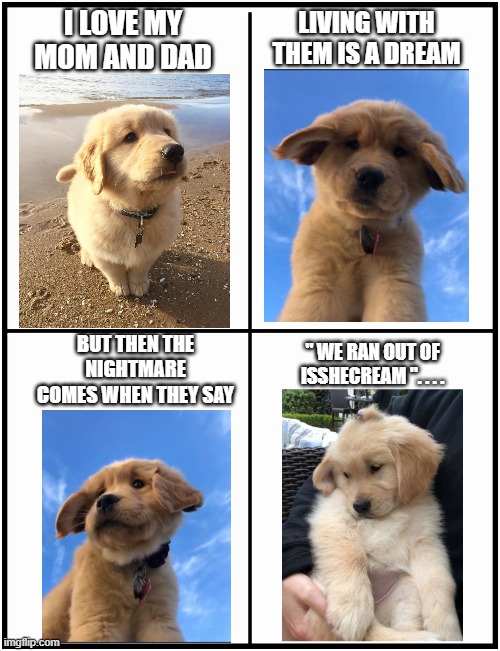 I need more pay | I LOVE MY MOM AND DAD; LIVING WITH THEM IS A DREAM; BUT THEN THE NIGHTMARE COMES WHEN THEY SAY; " WE RAN OUT OF ISSHECREAM ". . . . | image tagged in dogs,memes | made w/ Imgflip meme maker