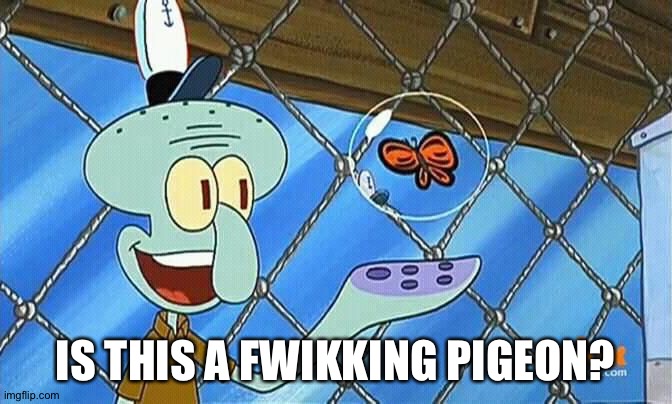squidward butterfly | IS THIS A FWIKKING PIGEON? | image tagged in squidward butterfly | made w/ Imgflip meme maker