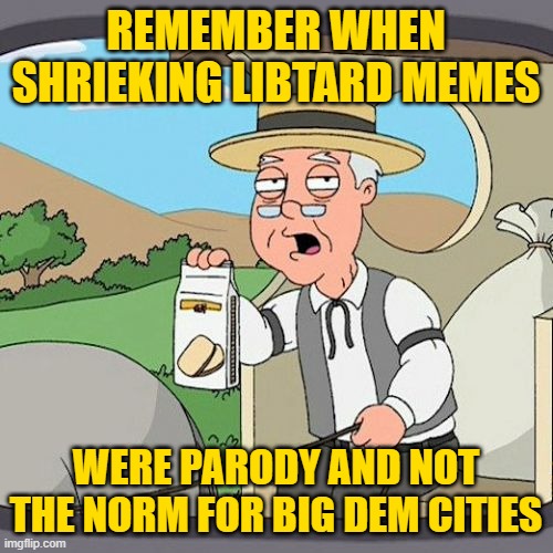 Pepperidge Farm Remembers Meme | REMEMBER WHEN SHRIEKING LIBTARD MEMES WERE PARODY AND NOT THE NORM FOR BIG DEM CITIES | image tagged in memes,pepperidge farm remembers | made w/ Imgflip meme maker
