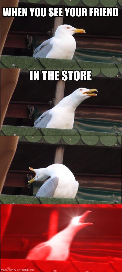 Inhaling Seagull Meme | WHEN YOU SEE YOUR FRIEND; IN THE STORE | image tagged in memes,inhaling seagull | made w/ Imgflip meme maker