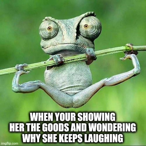 When your showing her the goods and wondering why she keeps laughing | WHEN YOUR SHOWING HER THE GOODS AND WONDERING WHY SHE KEEPS LAUGHING | image tagged in laughing,goods,sexy dancer,funny memes | made w/ Imgflip meme maker