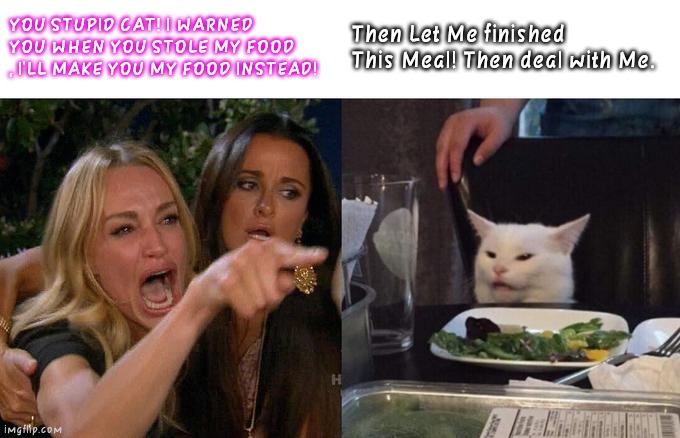 Woman Yelling At Cat Meme | YOU STUPID CAT! I WARNED YOU WHEN YOU STOLE MY FOOD , I'LL MAKE YOU MY FOOD INSTEAD! Then Let Me finished This Meal! Then deal with Me. | image tagged in memes,woman yelling at cat | made w/ Imgflip meme maker