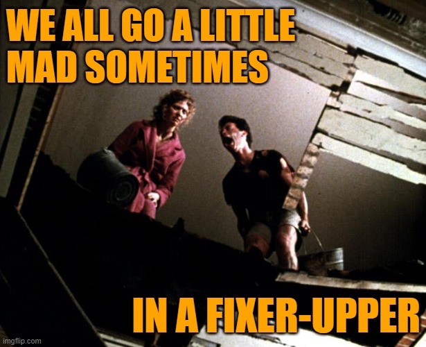 Psycho Money Pit | WE ALL GO A LITTLE
MAD SOMETIMES; IN A FIXER-UPPER | image tagged in movie quotes,psycho,money pit,life lessons,lol memes,funny | made w/ Imgflip meme maker