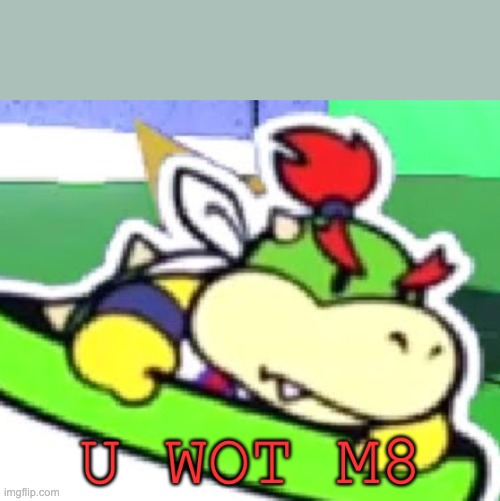 Bowser jr u wot m8 | image tagged in bowser jr u wot m8 | made w/ Imgflip meme maker