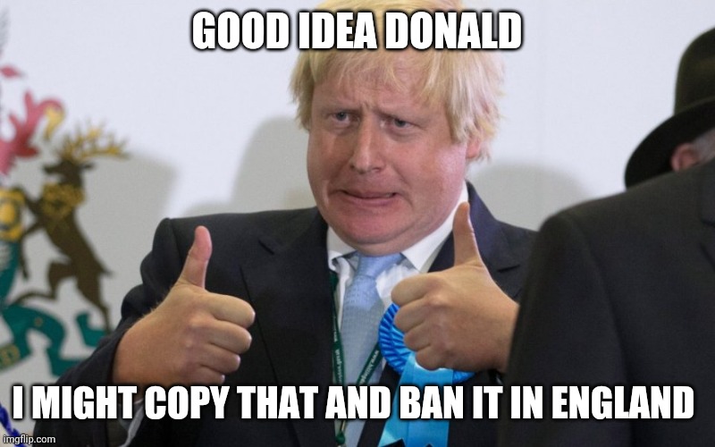 boris johnson | GOOD IDEA DONALD; I MIGHT COPY THAT AND BAN IT IN ENGLAND | image tagged in boris johnson,memes | made w/ Imgflip meme maker