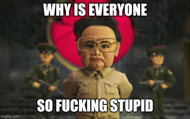 Team america Kim jong il | WHY IS EVERYONE; SO FUCKING STUPID | image tagged in team america kim jong il | made w/ Imgflip meme maker