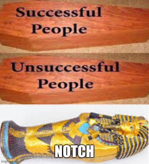 Title | NOTCH | image tagged in unsuccessful people successful people | made w/ Imgflip meme maker