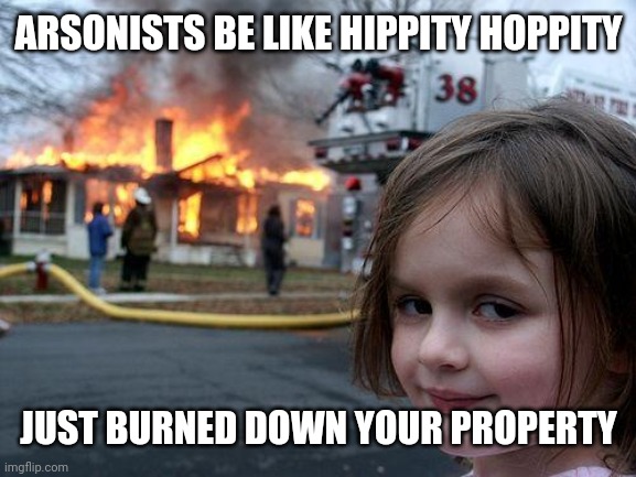 Arsonists | ARSONISTS BE LIKE HIPPITY HOPPITY; JUST BURNED DOWN YOUR PROPERTY | image tagged in memes,disaster girl | made w/ Imgflip meme maker