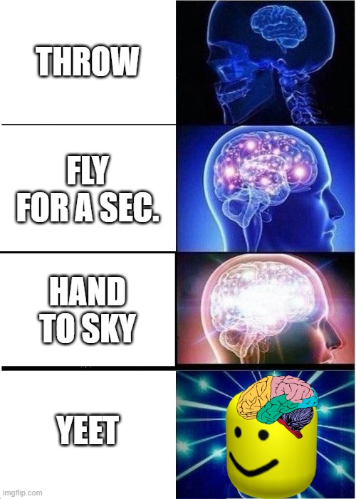 YEET | THROW; FLY FOR A SEC. HAND TO SKY; YEET | image tagged in memes,expanding brain,yeet,roblox oof | made w/ Imgflip meme maker