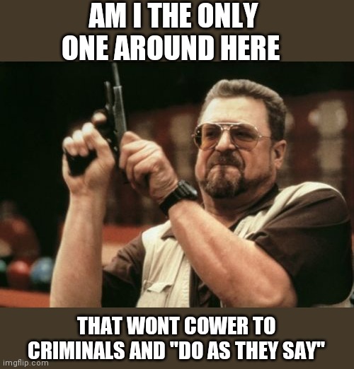 Am I The Only One Around Here | AM I THE ONLY ONE AROUND HERE; THAT WONT COWER TO CRIMINALS AND "DO AS THEY SAY" | image tagged in memes,am i the only one around here | made w/ Imgflip meme maker