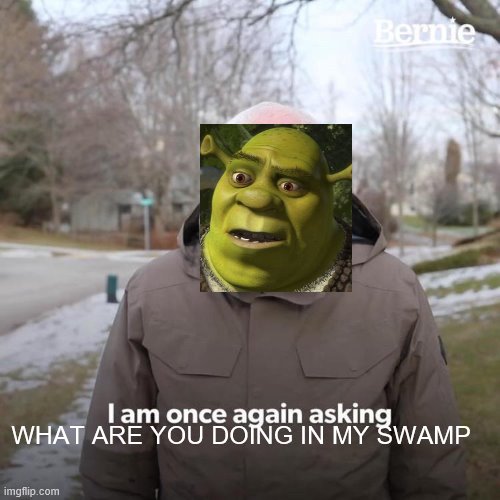 Bernie I Am Once Again Asking For Your Support Meme | WHAT ARE YOU DOING IN MY SWAMP | image tagged in memes,bernie i am once again asking for your support | made w/ Imgflip meme maker