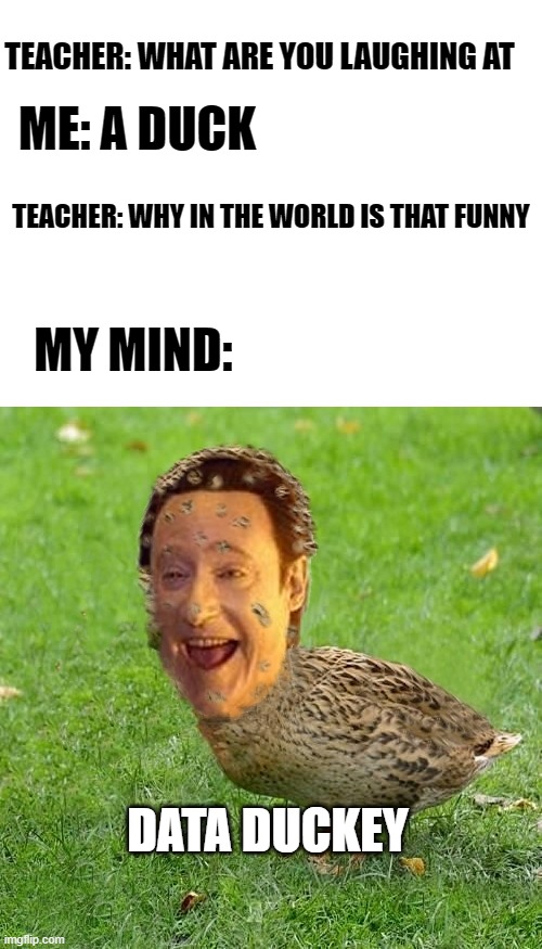 * creative title* | TEACHER: WHAT ARE YOU LAUGHING AT; ME: A DUCK; TEACHER: WHY IN THE WORLD IS THAT FUNNY; MY MIND:; DATA DUCKEY | image tagged in blank white template,the data ducky | made w/ Imgflip meme maker