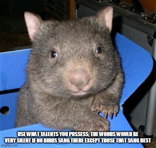 Wombat in a chair | USE WHAT TALENTS YOU POSSESS; THE WOODS WOULD BE VERY SILENT IF NO BIRDS SANG THERE EXCEPT THOSE THAT SANG BEST | image tagged in wombat in a chair | made w/ Imgflip meme maker