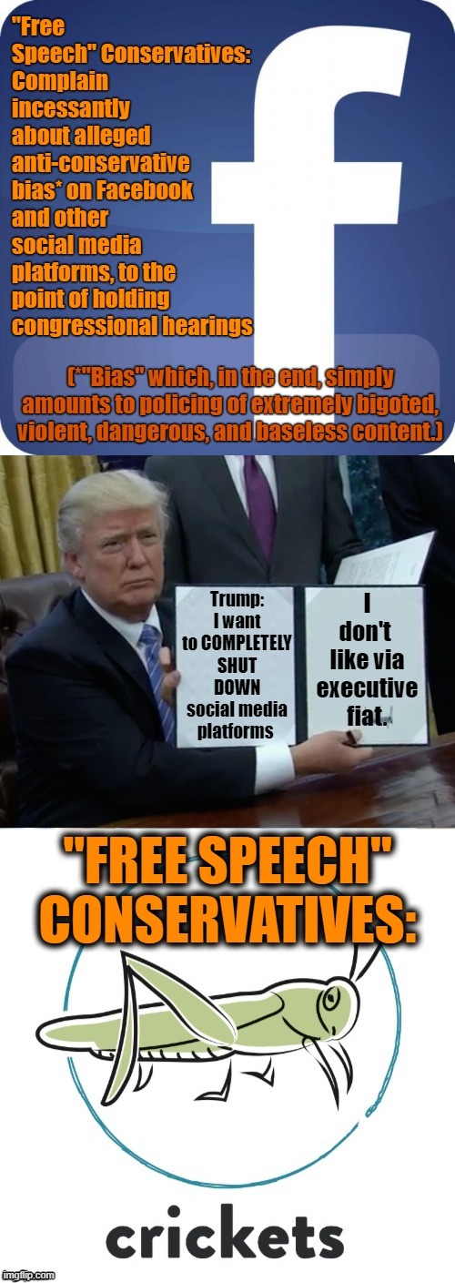 Between the Tulsa rally & Tik-Tokkers like Sarah Cooper, It's hard for Trump to escape accusations of bias against Tik-Tok. | image tagged in free speech,freedom of speech,freedom of the press,conservative hypocrisy,bias,trump is a moron | made w/ Imgflip meme maker
