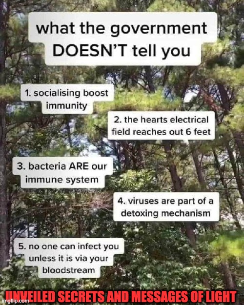 WHAT THE GOVT. DOESN'T TELL YOU | UNVEILED SECRETS AND MESSAGES OF LIGHT | image tagged in what the govt doesn't tell you | made w/ Imgflip meme maker