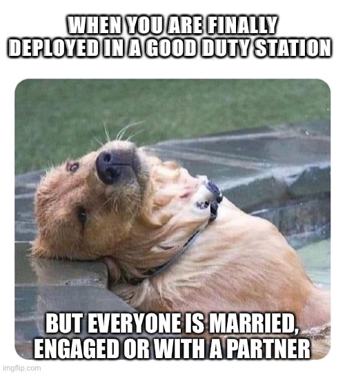 Work struggles | WHEN YOU ARE FINALLY DEPLOYED IN A GOOD DUTY STATION; BUT EVERYONE IS MARRIED, ENGAGED OR WITH A PARTNER | image tagged in dogs,hard work | made w/ Imgflip meme maker