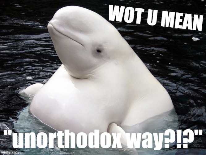 using blowholes isn't unorthodox to him! lmfao | WOT U MEAN; "unorthodox way?!?" | image tagged in fat whale,whale,whales,meme man,meanwhile on imgflip,lmfao | made w/ Imgflip meme maker