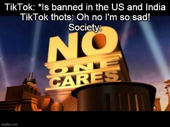 Nobody cares about them TikTok thots. | TikTok: *Is banned in the US and India
TikTok thots: Oh no I'm so sad!
Society: | image tagged in no one cares,tik tok | made w/ Imgflip meme maker