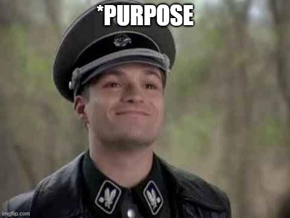 grammar nazi | *PURPOSE | image tagged in grammar nazi | made w/ Imgflip meme maker