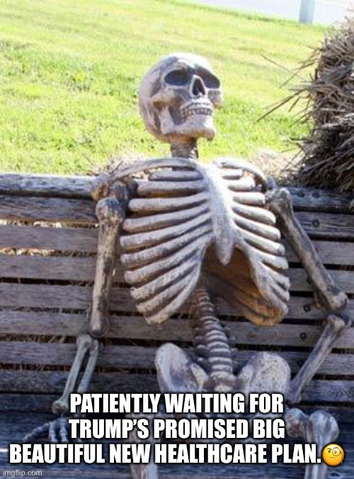 Trump Don't Care Plan. | PATIENTLY WAITING FOR TRUMP’S PROMISED BIG BEAUTIFUL NEW HEALTHCARE PLAN.🧐 | image tagged in waiting skeleton,donald trump,liar in chief,conman,trump supporters | made w/ Imgflip meme maker