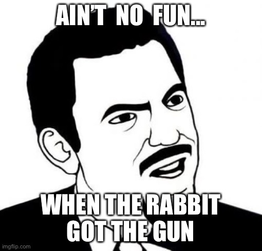 Seriously Face | AIN’T  NO  FUN... WHEN THE RABBIT
GOT THE GUN | image tagged in memes,seriously face | made w/ Imgflip meme maker