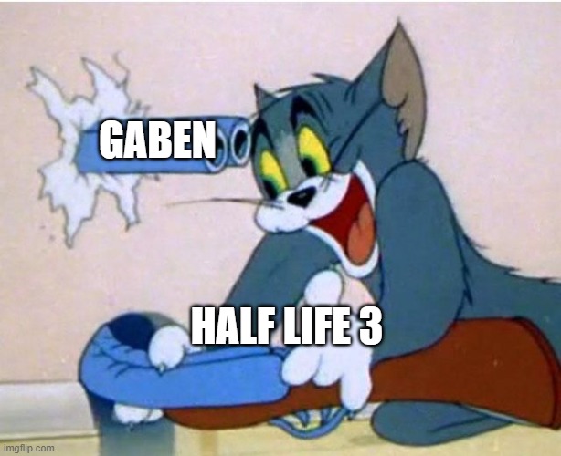 REALITY | GABEN; HALF LIFE 3 | image tagged in tom and jerry | made w/ Imgflip meme maker