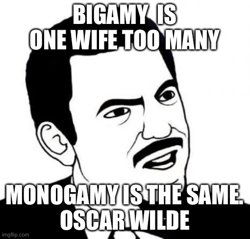 Seriously Face Meme | BIGAMY  IS ONE WIFE TOO MANY; MONOGAMY IS THE SAME.
OSCAR WILDE | image tagged in memes,seriously face | made w/ Imgflip meme maker