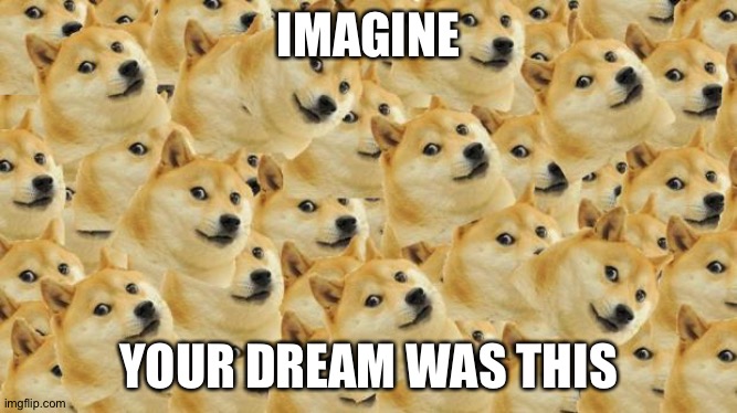 Multi Doge | IMAGINE; YOUR DREAM WAS THIS | image tagged in memes,multi doge | made w/ Imgflip meme maker