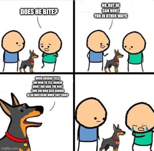 Dog Hurt Comic | NO, BUT HE CAN HURT YOU IN OTHER WAYS; DOES HE BITE? WHEN AHSOKA TELLS OBI WAN TO TELL ANAKIN WHAT SHE SAID, THE NEXT TIME OBI WAN SEES ANAKIN IS ON MUSTAFAR WHEN THEY FIGHT | image tagged in dog hurt comic | made w/ Imgflip meme maker