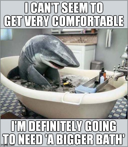 A Sharks' Tale Of Woe | I CAN'T SEEM TO GET VERY COMFORTABLE; I'M DEFINITELY GOING TO NEED 'A BIGGER BATH' | image tagged in fun,shark,bath,jaws | made w/ Imgflip meme maker