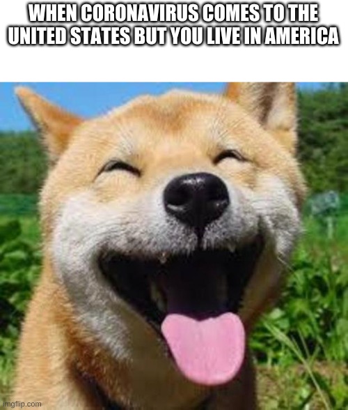 Happy Doge | WHEN CORONAVIRUS COMES TO THE UNITED STATES BUT YOU LIVE IN AMERICA | image tagged in happy doge | made w/ Imgflip meme maker