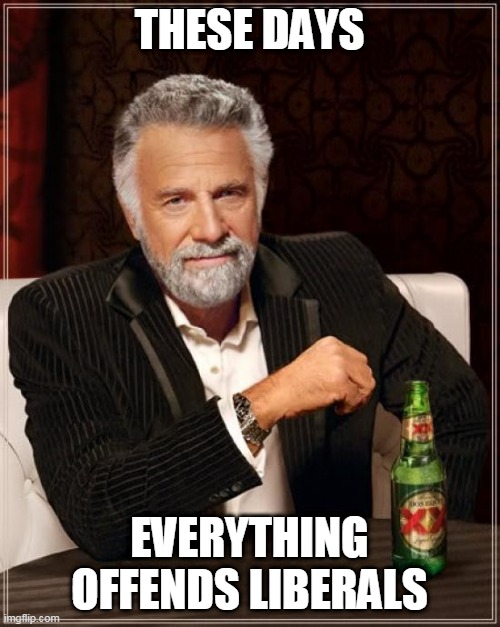 The Most Interesting Man In The World Meme | THESE DAYS EVERYTHING OFFENDS LIBERALS | image tagged in memes,the most interesting man in the world | made w/ Imgflip meme maker