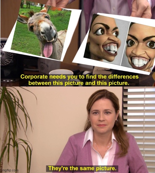 They're The Same Picture Meme | image tagged in memes,they're the same picture | made w/ Imgflip meme maker