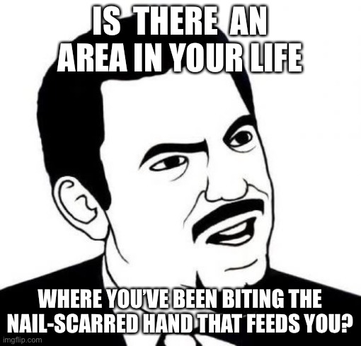 Seriously Face |  IS  THERE  AN AREA IN YOUR LIFE; WHERE YOU’VE BEEN BITING THE NAIL-SCARRED HAND THAT FEEDS YOU? | image tagged in memes,seriously face | made w/ Imgflip meme maker