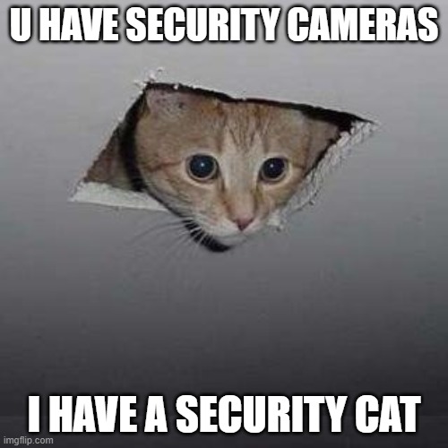 Ceiling Cat |  U HAVE SECURITY CAMERAS; I HAVE A SECURITY CAT | image tagged in memes,ceiling cat | made w/ Imgflip meme maker