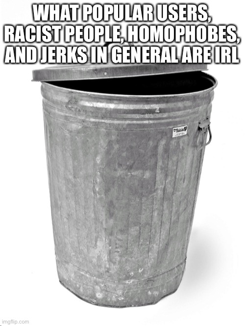 But it’s a fact | WHAT POPULAR USERS, RACIST PEOPLE, HOMOPHOBES, AND JERKS IN GENERAL ARE IRL | image tagged in trash can | made w/ Imgflip meme maker
