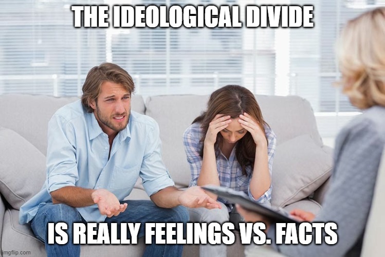 couples therapy | THE IDEOLOGICAL DIVIDE; IS REALLY FEELINGS VS. FACTS | image tagged in couples therapy | made w/ Imgflip meme maker