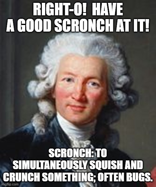 RIGHT-O!  HAVE A GOOD SCRONCH AT IT! SCRONCH: TO SIMULTANEOUSLY SQUISH AND CRUNCH SOMETHING; OFTEN BUGS. | made w/ Imgflip meme maker