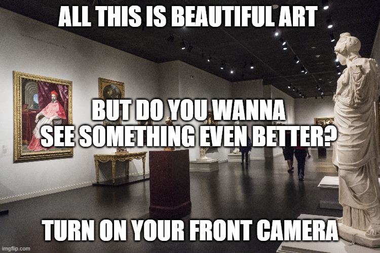 ALL THIS IS BEAUTIFUL ART; BUT DO YOU WANNA SEE SOMETHING EVEN BETTER? TURN ON YOUR FRONT CAMERA | image tagged in memes,wholesome | made w/ Imgflip meme maker