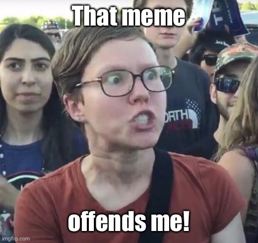 Triggered feminist | That meme offends me! | image tagged in triggered feminist | made w/ Imgflip meme maker