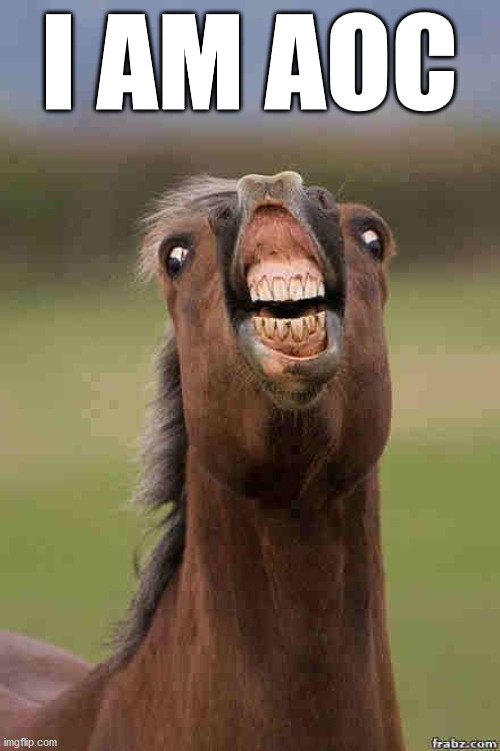 horse face | I AM AOC | image tagged in horse face | made w/ Imgflip meme maker