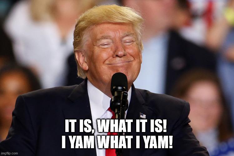 clump | IT IS, WHAT IT IS! 
I YAM WHAT I YAM! | image tagged in duck face | made w/ Imgflip meme maker