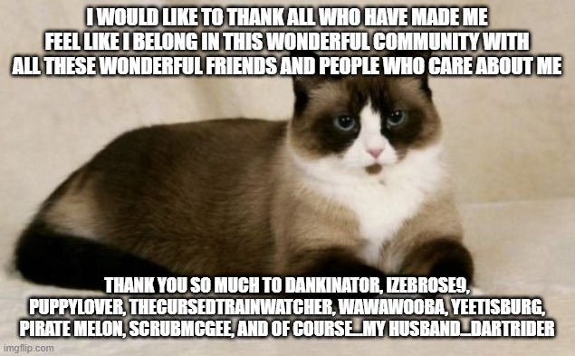 thank you for everything | I WOULD LIKE TO THANK ALL WHO HAVE MADE ME FEEL LIKE I BELONG IN THIS WONDERFUL COMMUNITY WITH ALL THESE WONDERFUL FRIENDS AND PEOPLE WHO CARE ABOUT ME; THANK YOU SO MUCH TO DANKINATOR, IZEBROSE9, PUPPYLOVER, THECURSEDTRAINWATCHER, WAWAWOOBA, YEETISBURG, PIRATE MELON, SCRUBMCGEE, AND OF COURSE...MY HUSBAND...DARTRIDER | image tagged in cat | made w/ Imgflip meme maker