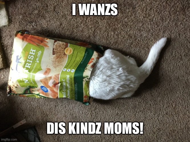 I wanzs did kindz moms | I WANZS; DIS KINDZ MOMS! | image tagged in i wantz diz kind moms,cat food,fat cat | made w/ Imgflip meme maker