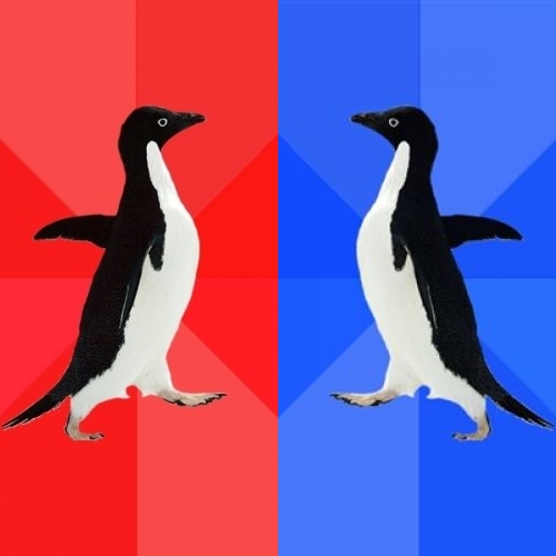 High Quality Awesome and awkward penguins Blank Meme Template
